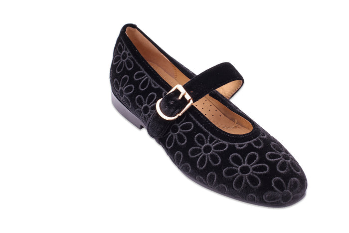 Allora Daisy