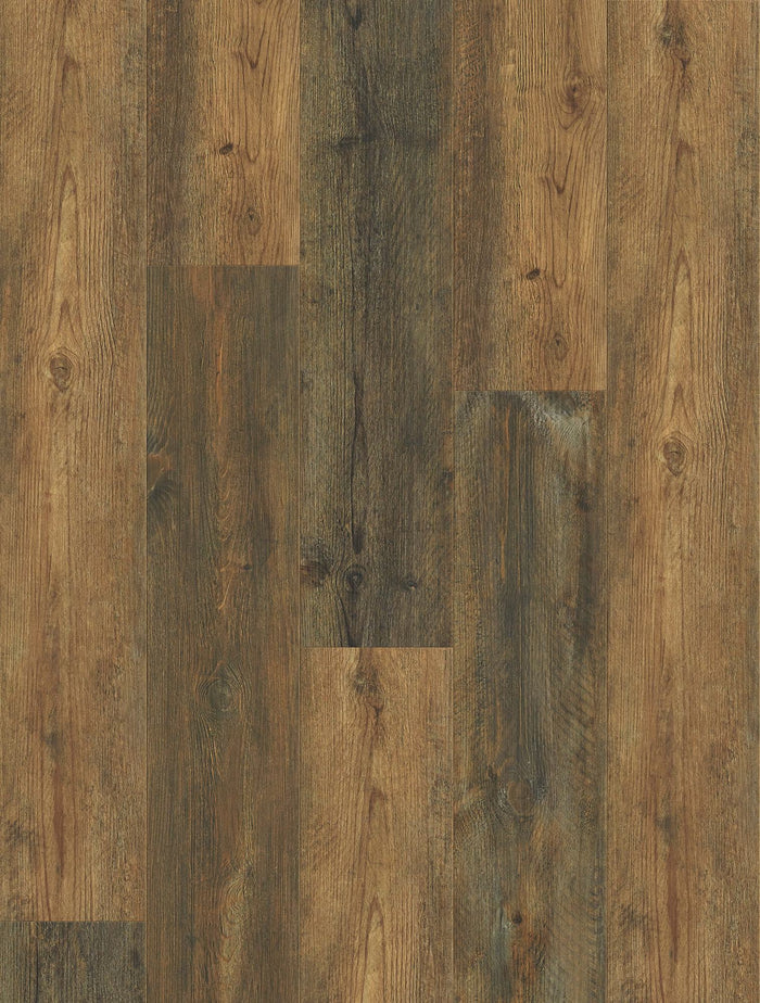 Walnut