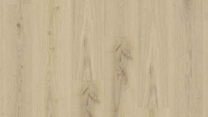 Limed Oak