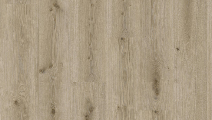 Prime Oak