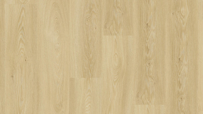 Classic Oak