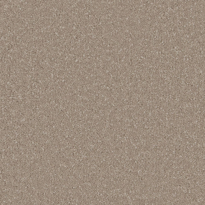 Sand Dune