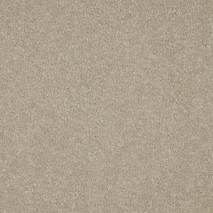 Sealskin / 4m / Action