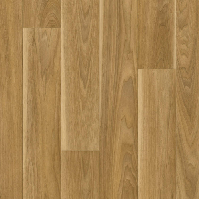 Maple / 2m