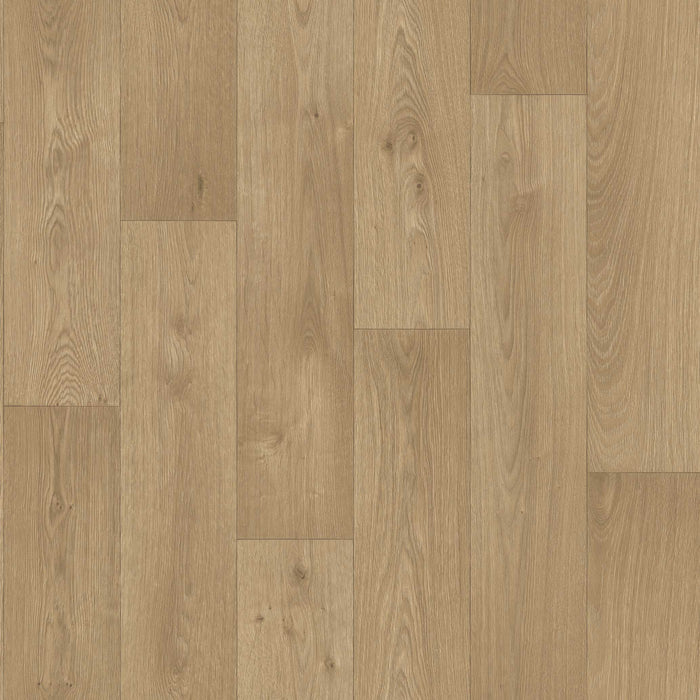 Soft Oak / 2m