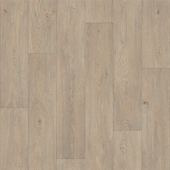 Soft Oak / 2m