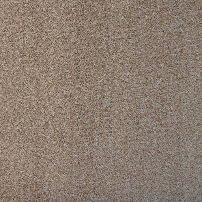 Latte / 4m / Felt