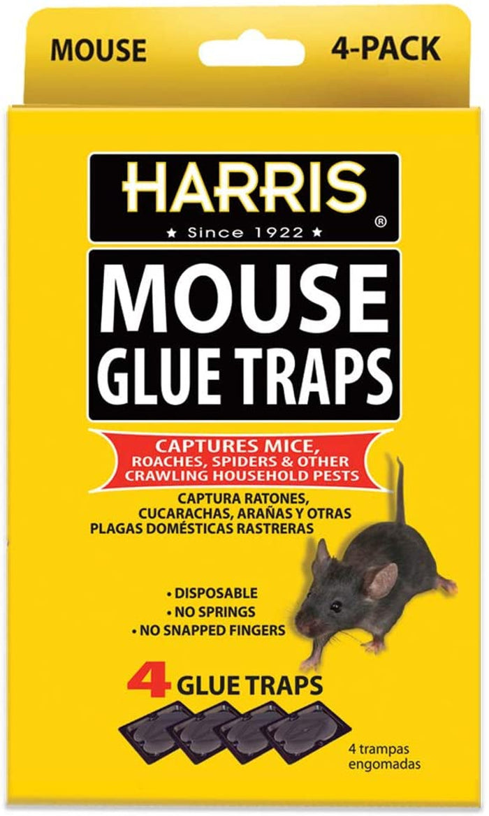 HARRIS HMG-4 Pre-Baited Mouse Glue Traps, Pack of 4