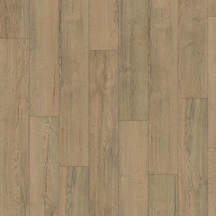 Pale Oak