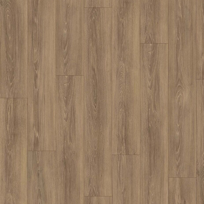 Maple Oak