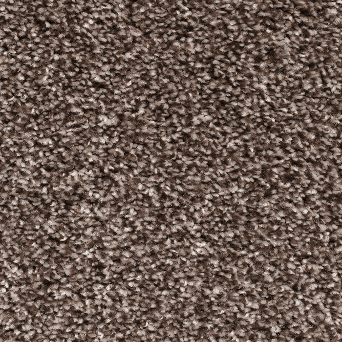 Mocha / 4m / Action