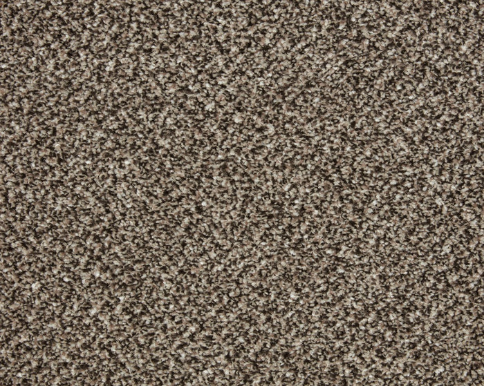 Taupe / 4m / Action
