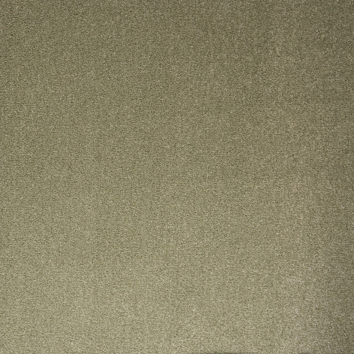 Sage / 4m / Action