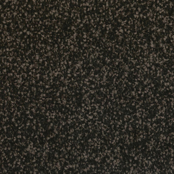 Anthill / 4m / Action
