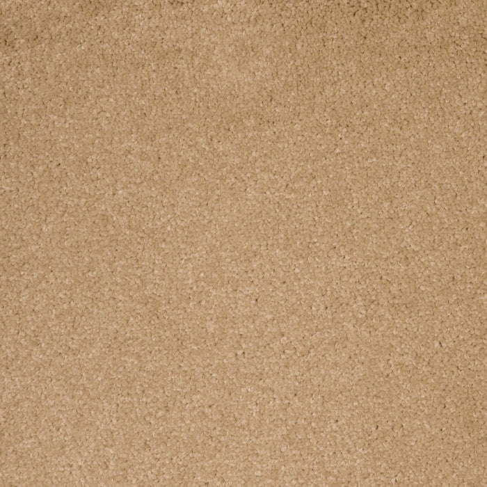 Soft Beige