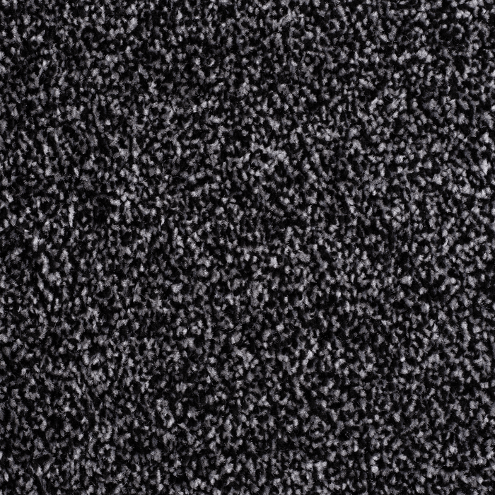Anthracite / 4m / Action