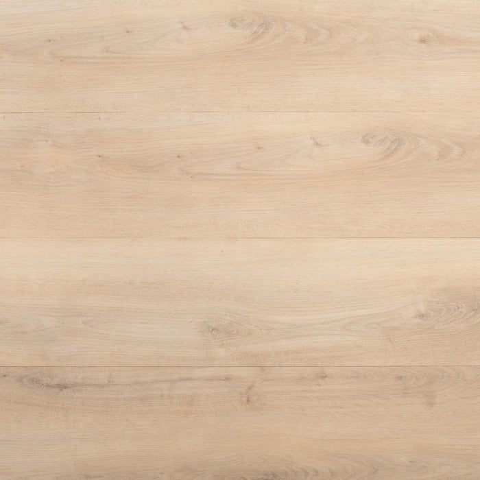 Maple Oak