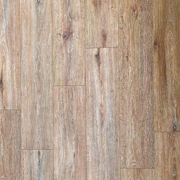 Ginger Oak